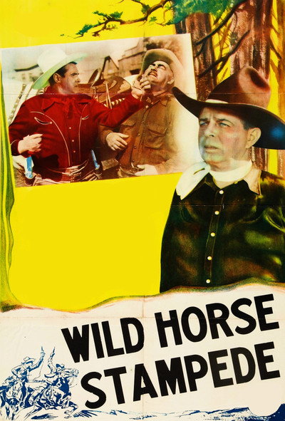 Póster de Wild Horse Stampede