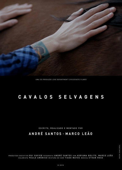 Póster de Wild Horses