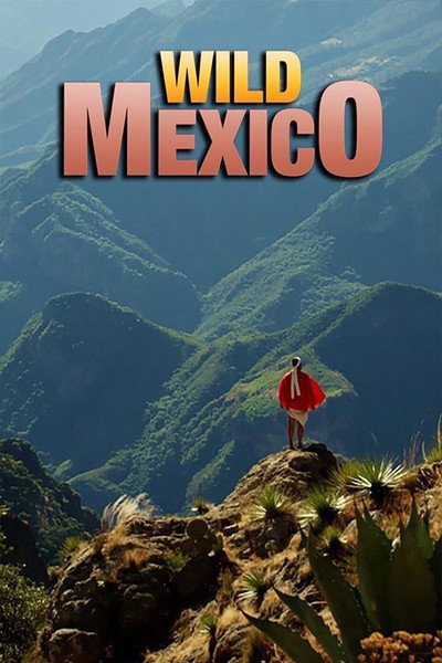 Póster de Wild Mexico