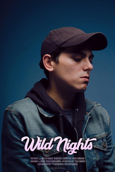 Póster de Wild Nights