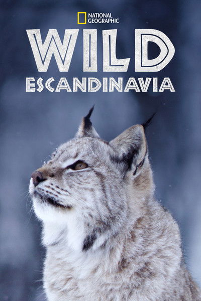 Póster de Wild Nordic