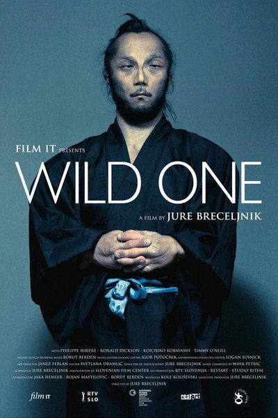 Póster de Wild One
