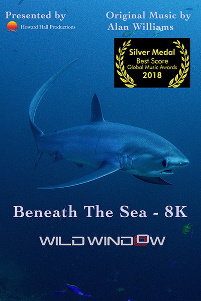 Póster de Wild Window: Beneath the Sea
