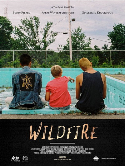 Póster de Wildfire