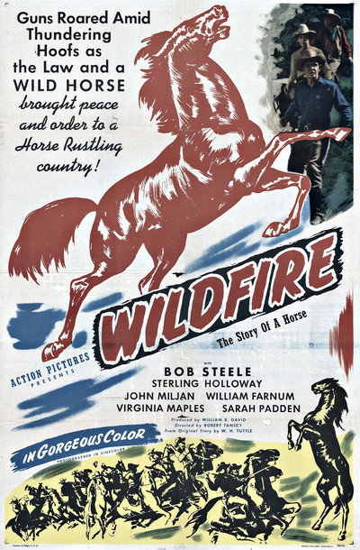 Póster de Wildfire