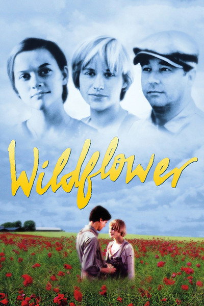 Póster de Wildflower