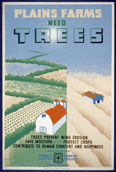 Póster de Windbreaks on the Prairies