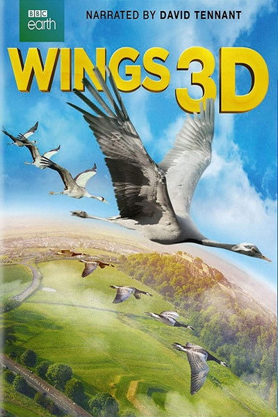 Póster de Wings