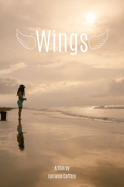 Póster de Wings