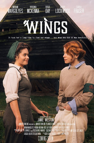 Póster de Wings
