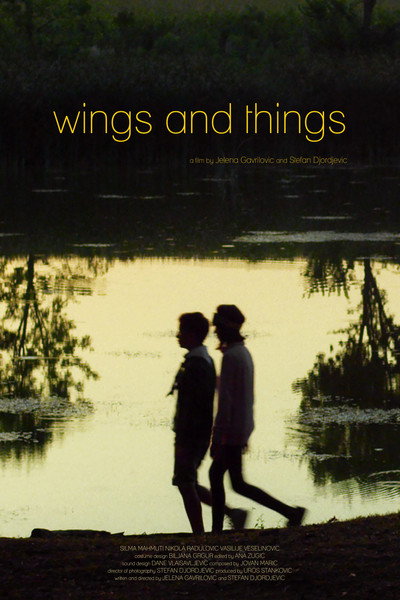 Póster de Wings and Things