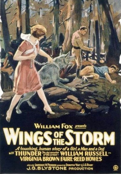 Póster de Wings of the Storm