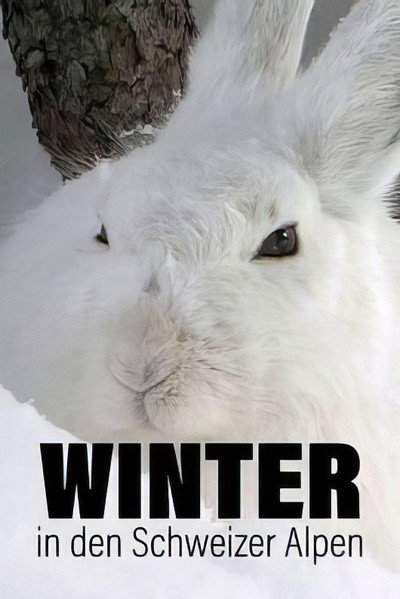 Póster de Winter in den Schweizer Alpen