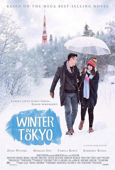 Póster de Winter in Tokyo