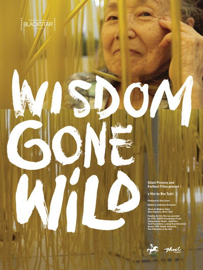 Póster de Wisdom Gone Wild