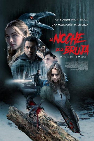 Póster de Witches in the Woods