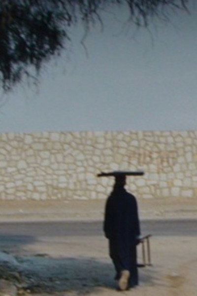 Póster de With Pyramids