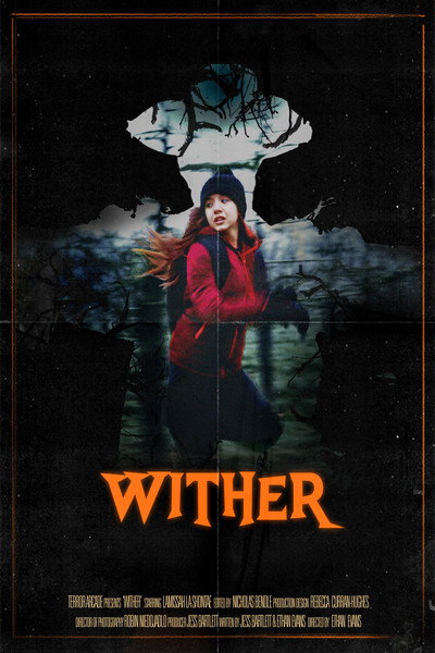 Póster de Wither