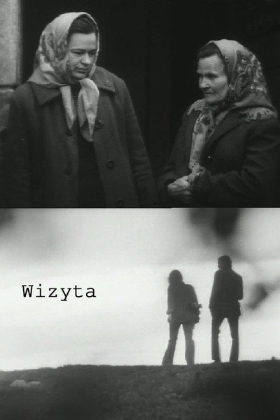 Póster de Wizyta