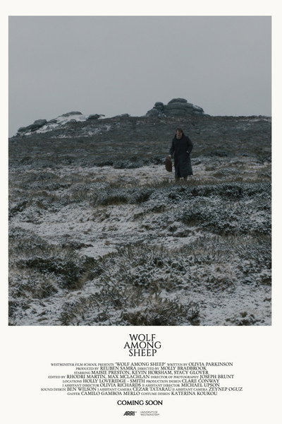Póster de Wolf Among Sheep