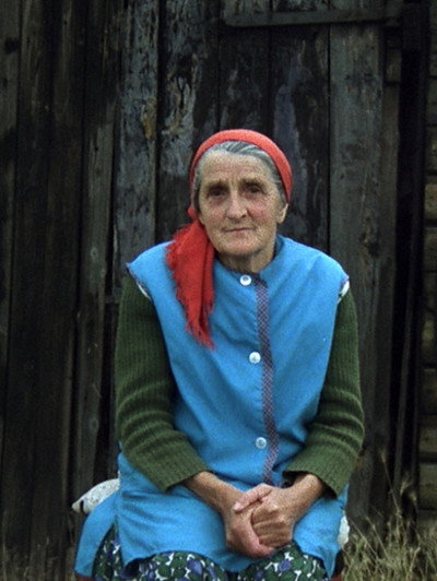 Póster de Wolters Trude