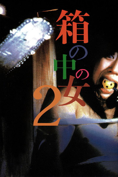 Póster de Woman in a Box 2