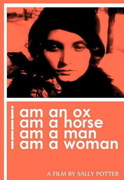Póster de Women Filmmakers in Russia