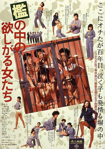 Póster de Women in Heat Behind Bars