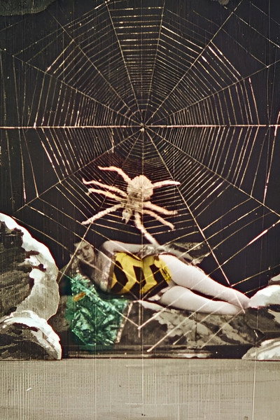 Póster de Wonderful Beehive