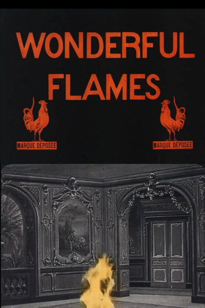 Póster de Wonderful Flames