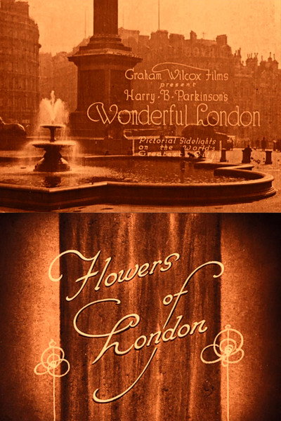 Póster de Wonderful London: Flowers of London