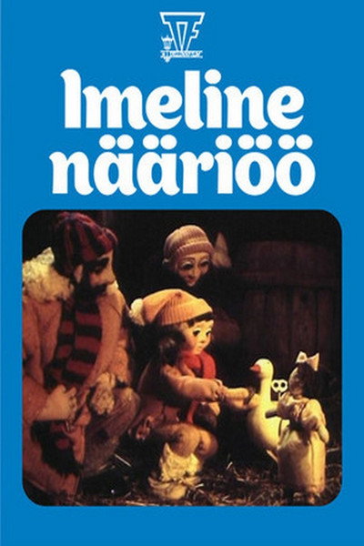 Póster de Wonderful New Year's Night
