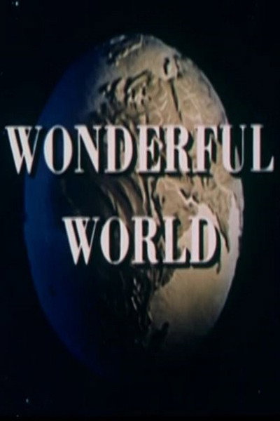 Póster de Wonderful World