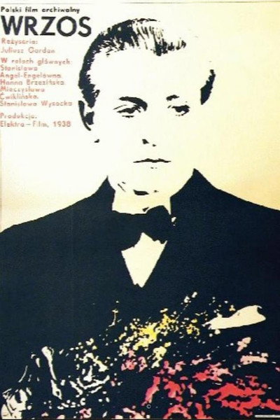 Póster de Wrzos