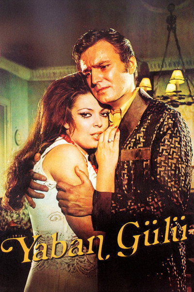 Póster de Yaban Gülü