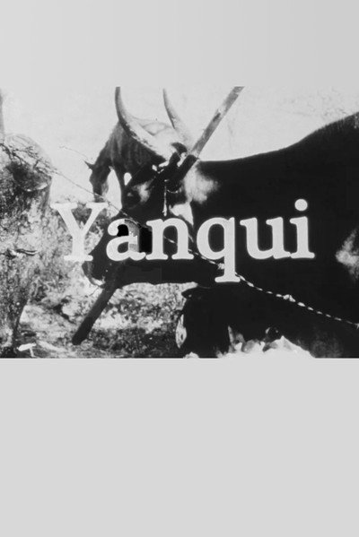Póster de Yanqui Walker and the Optical Revolution
