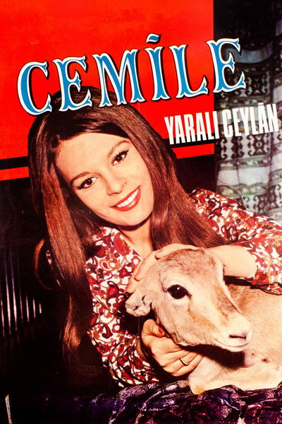 Póster de Yarali Ceylan