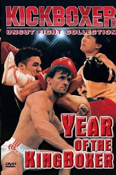 Póster de Year of the Kingboxer