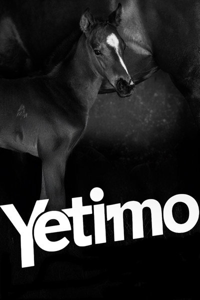 Póster de Yetimo