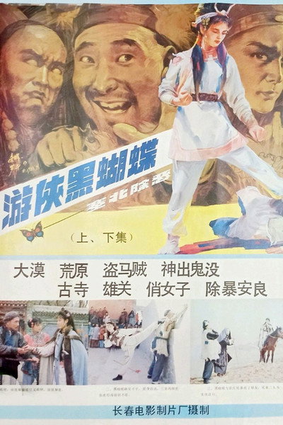 Póster de You xia hei hu die