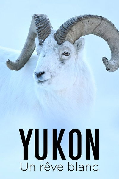 Póster de Yukon, un sueño invernal