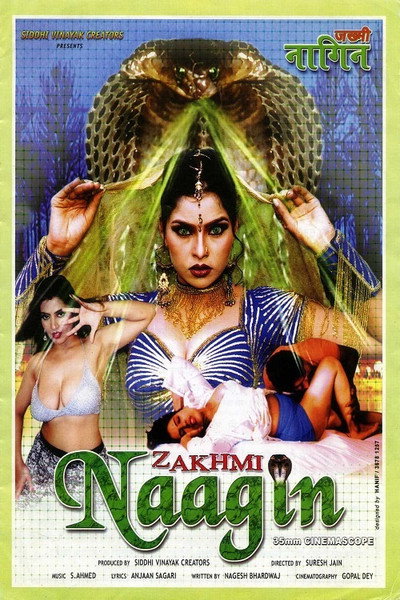 Póster de Zakhmi Naagin