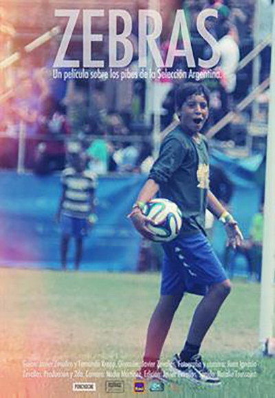 Póster de Zebras