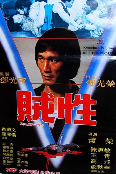 Póster de Zei xing