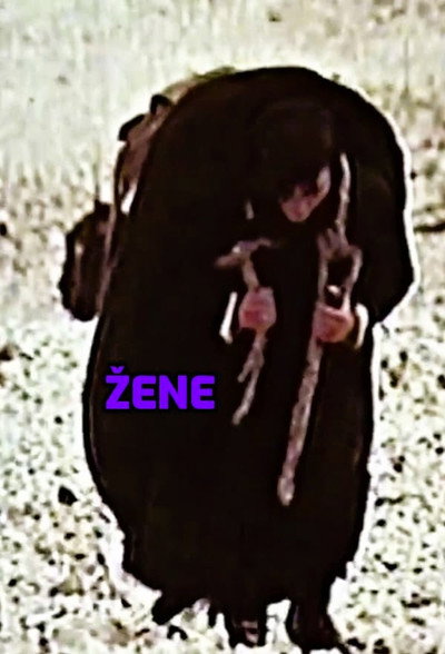 Póster de Zene