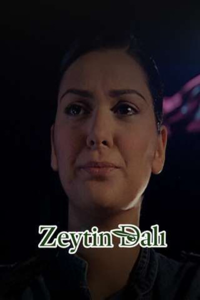 Póster de Zeytin Dalı