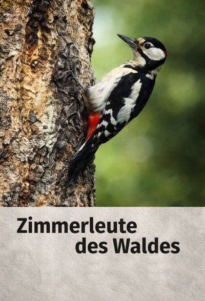Póster de Zimmerleute des Waldes