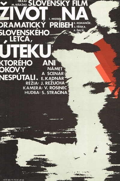 Póster de Zivot na uteku