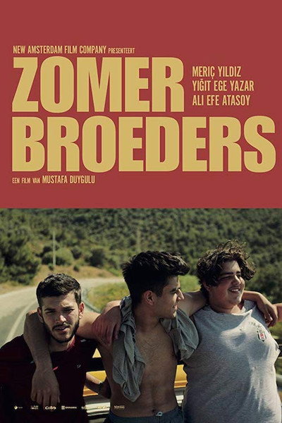 Póster de Zomerbroeders
