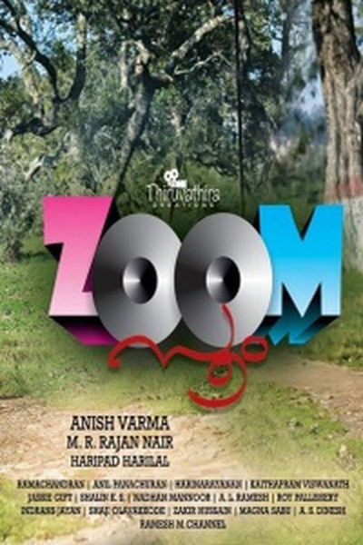Póster de Zoom